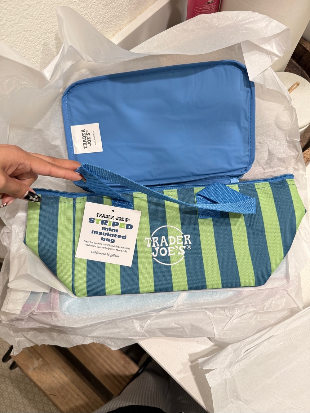 NEW Trader Joe’s Striped Blue & Green Insulated lunch Bag